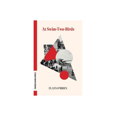 At Swim-Two-Birds - (Dalkey Archive Essentials) by Flann OBrien (Paperback)