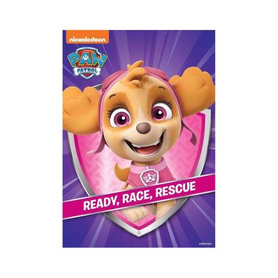 PAW Patrol: Ready Race Rescue (DVD)(2021)