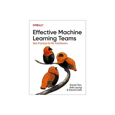 Effective Machine Learning Teams - by David Tan & Ada Leung & David Colls (Paperback)