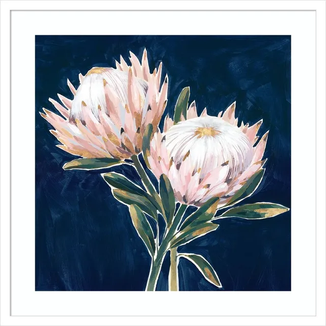 Amanti Art 16 x 16 Blooming King Protea by Isabelle Z Framed Canvas Wall Art  Amanti Art Connecticut Post Mall