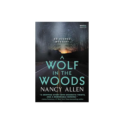 A Wolf in the Woods - (Ozarks Mysteries) by Nancy Allen (Paperback)