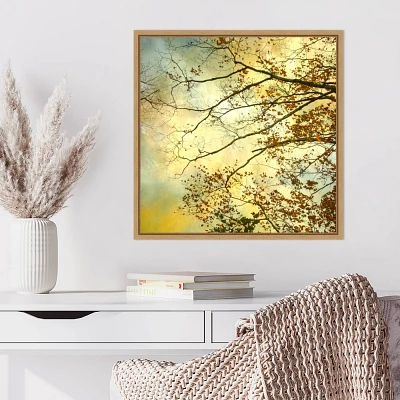 Amanti Art Storm Clouds II by Judy Stalus Framed Canvas Wall Art Print