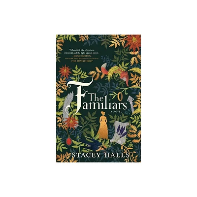 Familiars (First Time Trade) - by Stacey Halls (Paperback)