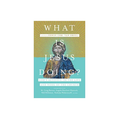 What Is Jesus Doing? - by Edwin Chr Van Driel (Paperback)