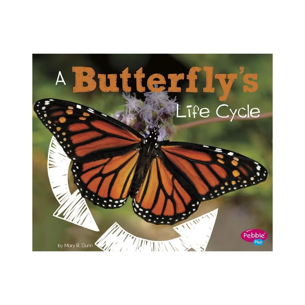 A Butterflys Life Cycle - (Explore Life Cycles) by Mary R Dunn (Paperback)