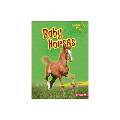 Baby Horses - (Lightning Bolt Books (R) -- Horse Lovers Library) by Lisa Idzikowski (Paperback)