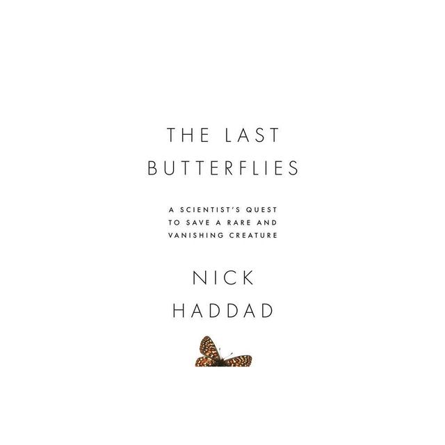 The Last Butterflies