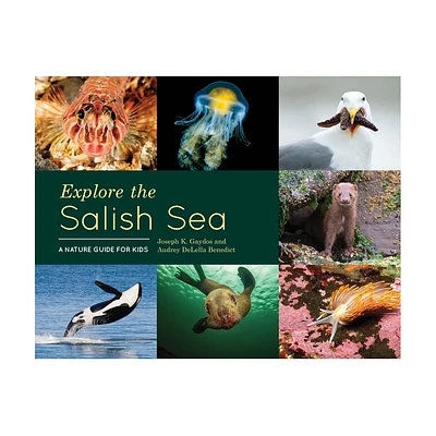 Explore the Salish Sea - by Joseph K Gaydos & Audrey Delella Benedict (Hardcover)