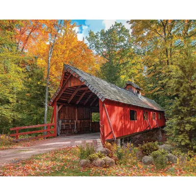 Springbrook Loonsong Bridge 1000 pc Jigsaw Puzzle