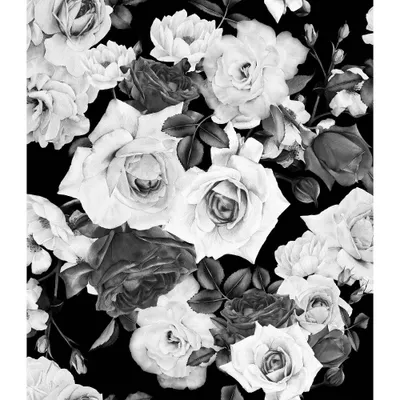 Black and White Floral Tapestry - RoomMates