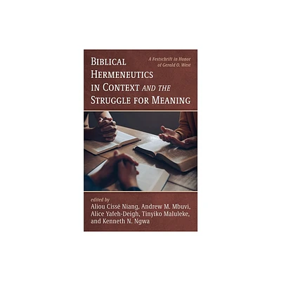 Biblical Hermeneutics in Context and the Struggle for Meaning - (Paperback)