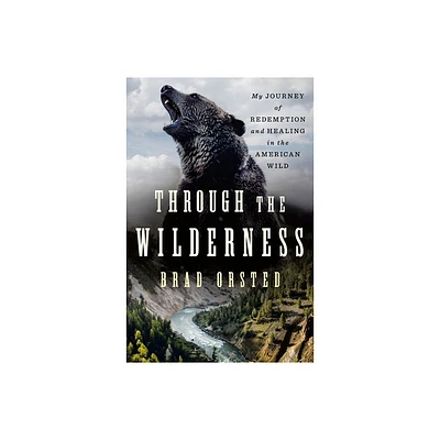 Through the Wilderness - by Brad Orsted (Hardcover)