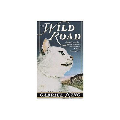 The Wild Road - by Gabriel King (Paperback)