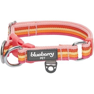 Blueberry Pet Stripe Adjustable Dog Collar - M