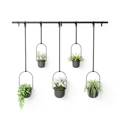 Triflora 5 Hanging Planter  - Umbra: Ceiling & Wall Mount, Indoor/Outdoor, Modern Style