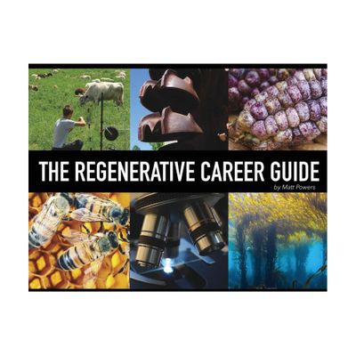 The Regenerative Career Guide - by Matt Powers (Paperback)