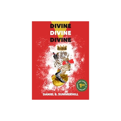 Divine, Divine, Divine - by Daniel B Summerhill (Paperback)