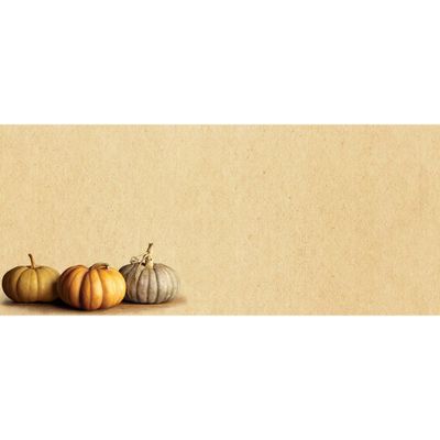 25ct Fall Pumpkins Envelope