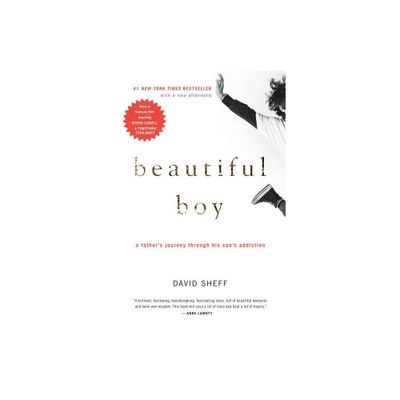 Beautiful Boy (Reprint) (Paperback) by David Sheff