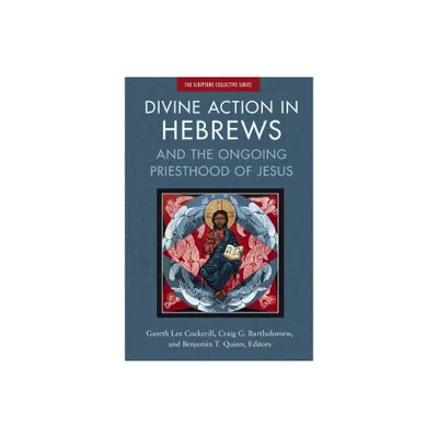 Divine Action in Hebrews - (The Scripture Collective) by Zondervan (Paperback)