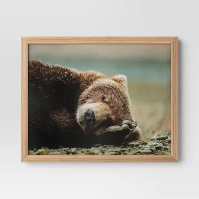 20 x 16 Bear Photography Framed Art Brown - Threshold: Frame, Animal Wall