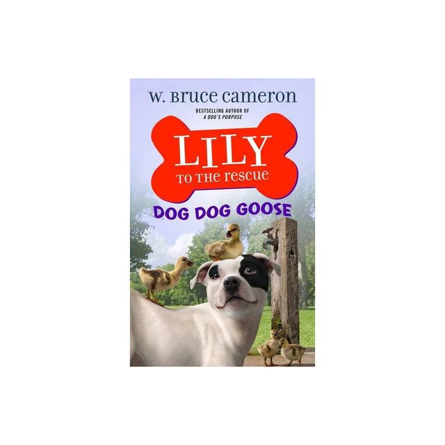 Lily to the Rescue: Dog Dog Goose - (Lily to the Rescue!) by W Bruce Cameron (Paperback)