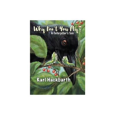 Why Dont You Fly? - by Karl Hackbarth (Hardcover)