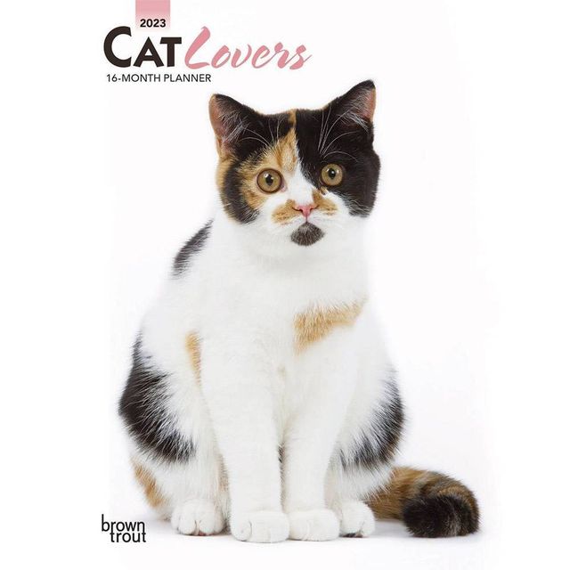 Tf Publishing 2023 Wall Calendar Space Cats - TF Publishing | Connecticut  Post Mall