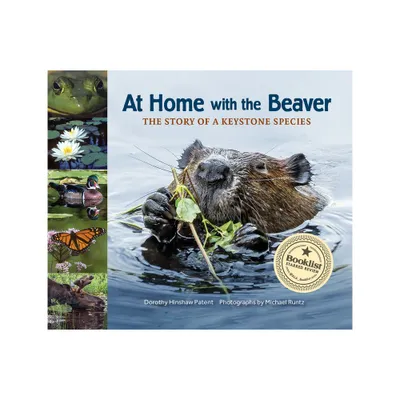 At Home with the Beaver - (Story of a Keystone Species) by Dorothy Hinshaw Patent (Paperback)