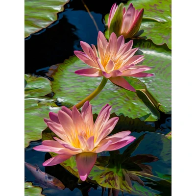 Springbok Jigsaw Water Lilies Puzzle - 500pc