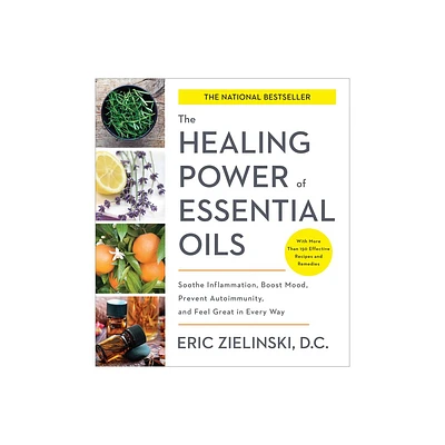 The Healing Power of Essential Oils - by Eric Zielinski (Paperback)