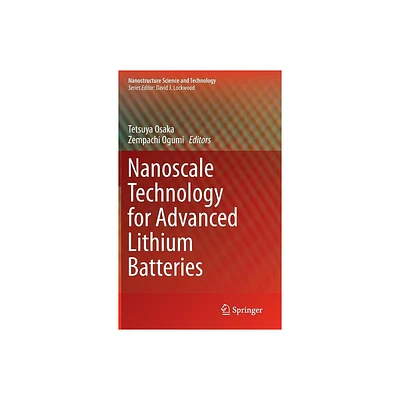 Nanoscale Technology for Advanced Lithium Batteries - (Nanostructure Science and Technology) by Tetsuya Osaka & Zempachi Ogumi (Hardcover)