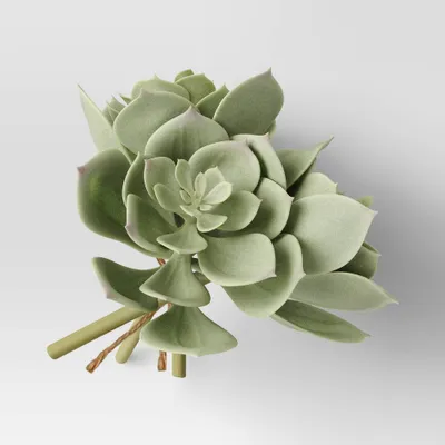 Echeveria Succulent Mini Stem Bundle - Threshold: Faux Echeveria, Indoor Decorative Artificial Plant