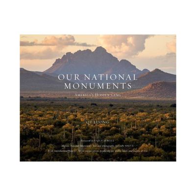 Our National Monuments - by Qt Luong (Hardcover)