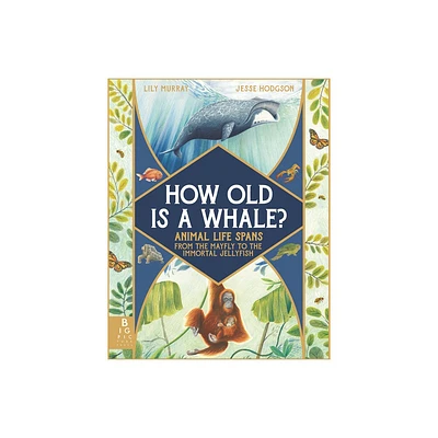 How Old Is a Whale? - by Lily Murray (Hardcover)