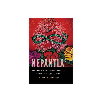 Nepantla Squared - (Expanding Frontiers: Interdisciplinary Approaches to Studies) by Linda Heidenreich (Paperback)