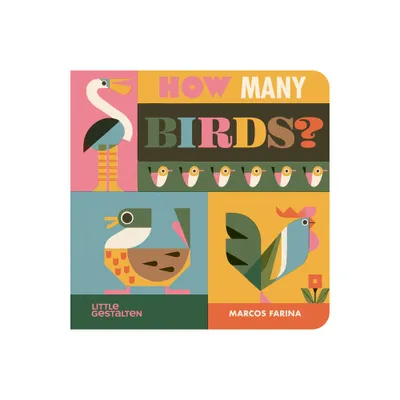 How Many Birds? - by Marcos Farina (Hardcover)