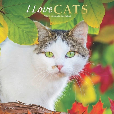 Plato Desk Pad Calendar September to December 2025 12x12 I Love Cats