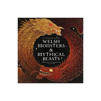 Welsh Monsters & Mythical Beasts - (Wool of Bat) by Rowynn Ellis (Hardcover)