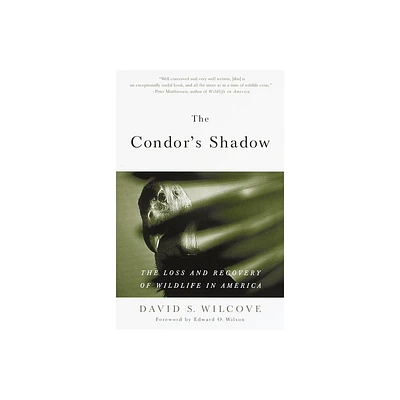 The Condors Shadow