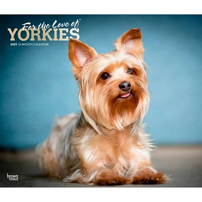 BrownTrout 2025 Wall Calendar 12x14 For The Love of Yorkshire Terriers Foil