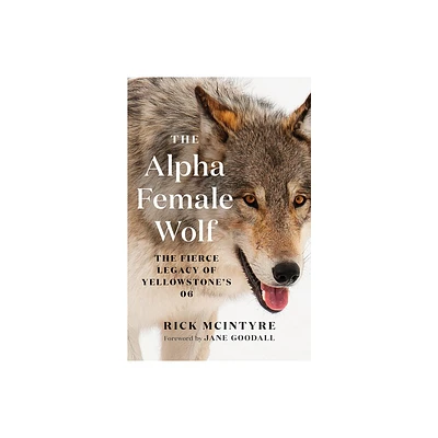 The Alpha Female Wolf - (The Alpha Wolves of Yellowstone) by Rick McIntyre (Paperback)