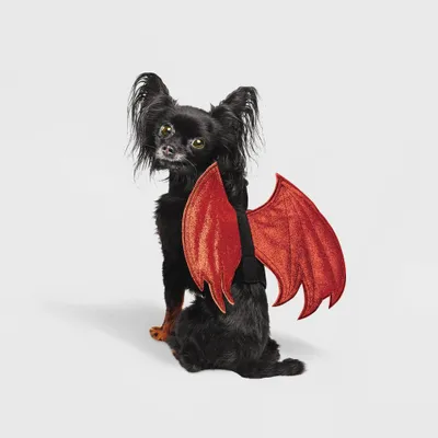 Halloween Reversible Red Devil or Angel Wings Dog and Cat Costume -  - Hyde & EEK! Boutique