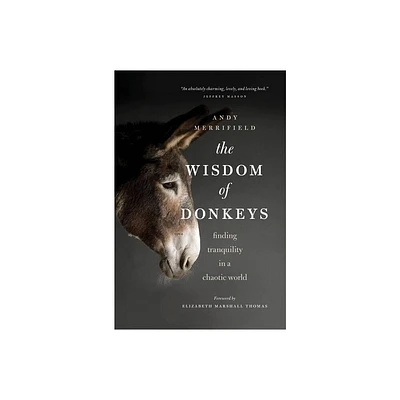 The Wisdom of Donkeys - by Andy Merrifield (Paperback)