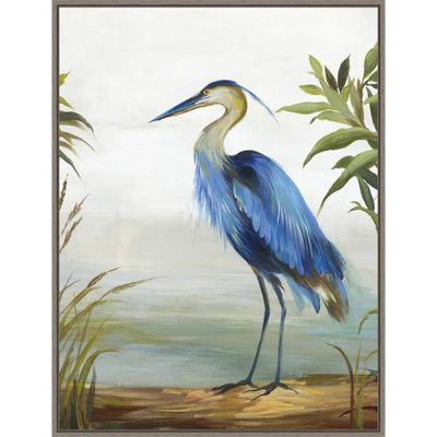 22 x 30 Blue Heron by Aimee Wilson Framed Canvas Wall Art Gray Wash - Amanti Art