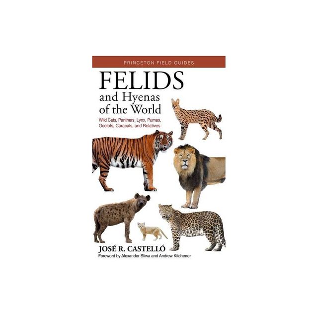 Felids and Hyenas of the World - by Jos R Castell (Paperback)