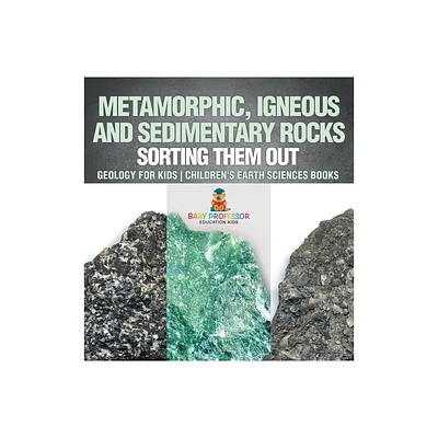 Metamorphic, Igneous and Sedimentary Rocks - by Baby Professor (Hardcover)