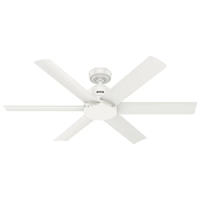 Hunter Fan 52 Kennicott Damp Rated Ceiling Fan and Wall Control