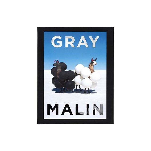 Gray Malin - (Hardcover)