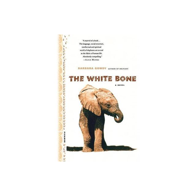 The White Bone - by Barbara Gowdy (Paperback)